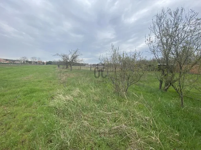 Eladó ház Tápiószőlős 72 nm