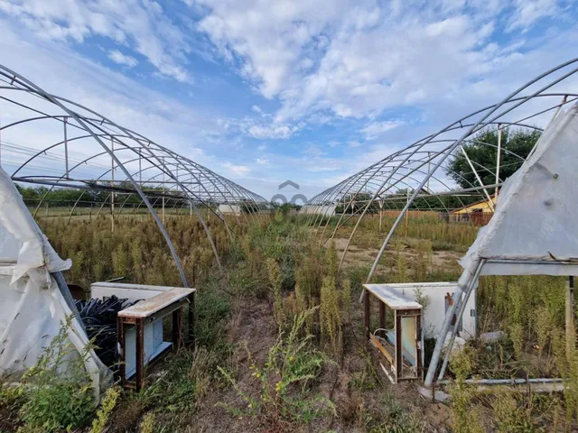 Eladó mezőgazdasági ingatlan Cegléd 3000 nm