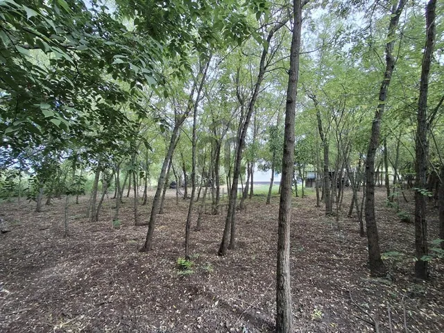 Eladó ház Cegléd 56 nm