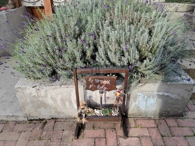 Eladó ház Tápiószele 97 nm