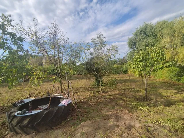 Eladó mezőgazdasági ingatlan Nagykőrös 1281 nm