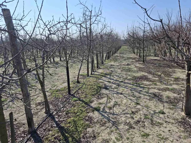 Eladó telek Cegléd 564 nm