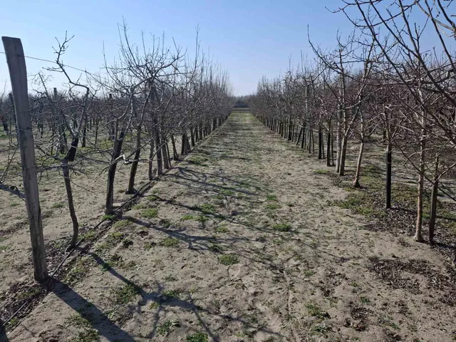 Eladó telek Cegléd 564 nm