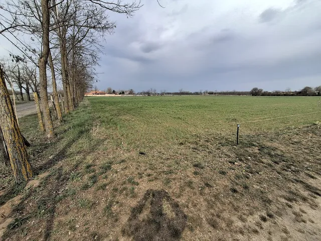 Eladó mezőgazdasági ingatlan Cegléd 22356 nm