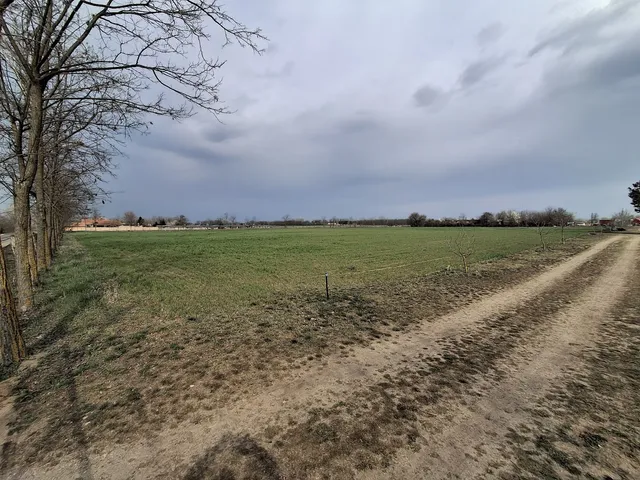 Eladó mezőgazdasági ingatlan Cegléd 22356 nm