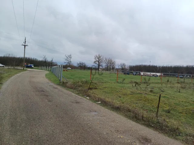 Eladó mezőgazdasági ingatlan Cegléd 7800 nm