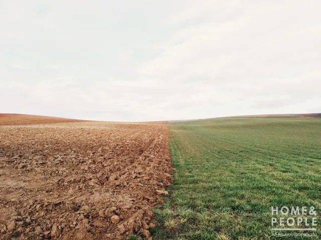 Eladó mezőgazdasági ingatlan Röszke 20467 nm