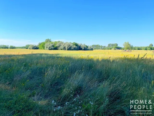 Eladó telek Balástya 148681 nm