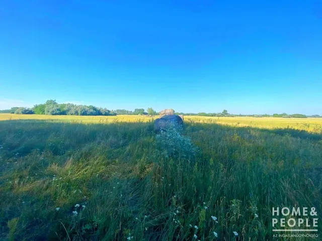 Eladó telek Balástya 148681 nm