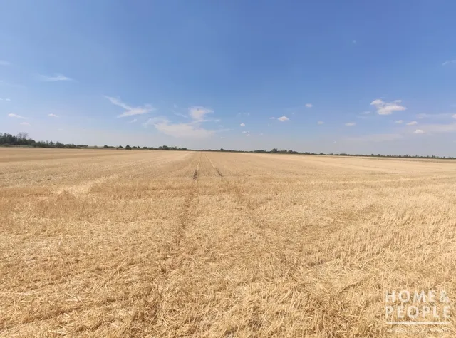 Eladó mezőgazdasági ingatlan Óföldeák 27000 nm