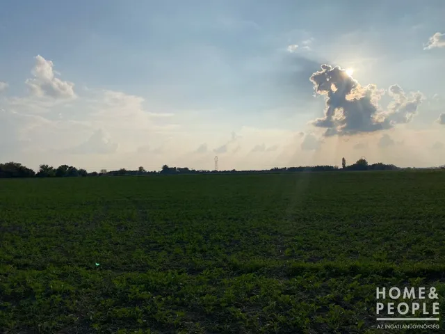 Eladó mezőgazdasági ingatlan Hódmezővásárhely,  89108 nm