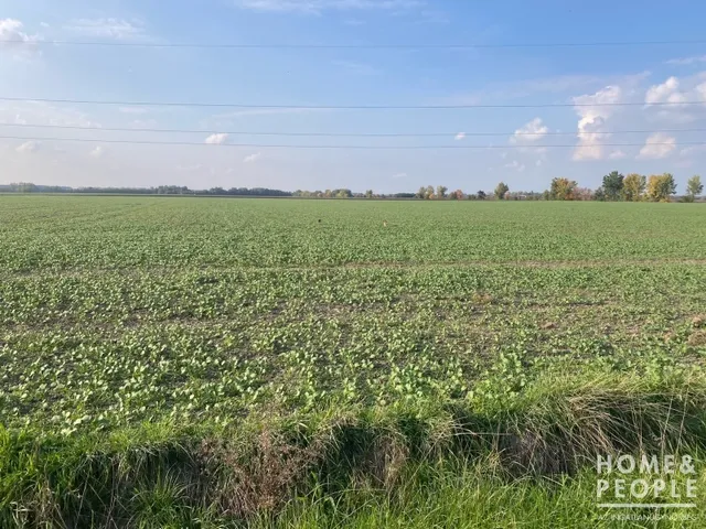 Eladó mezőgazdasági ingatlan Hódmezővásárhely,  29567 nm