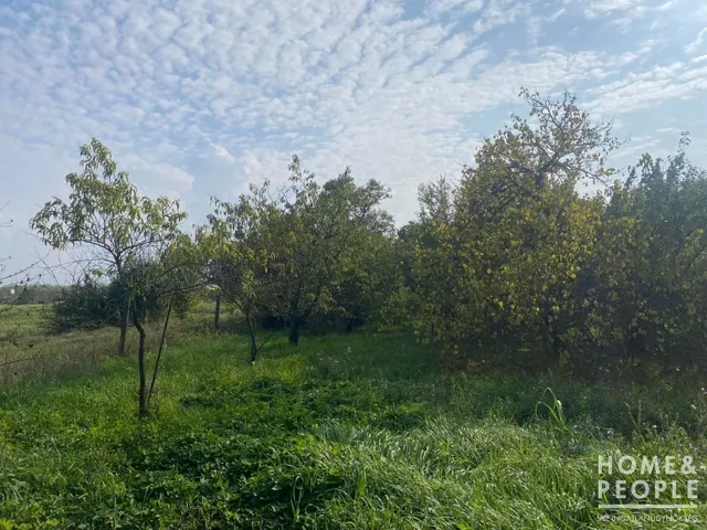 Eladó mezőgazdasági ingatlan Hódmezővásárhely,  871 nm