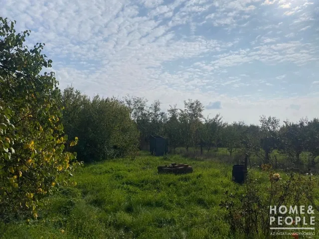 Eladó mezőgazdasági ingatlan Hódmezővásárhely,  871 nm