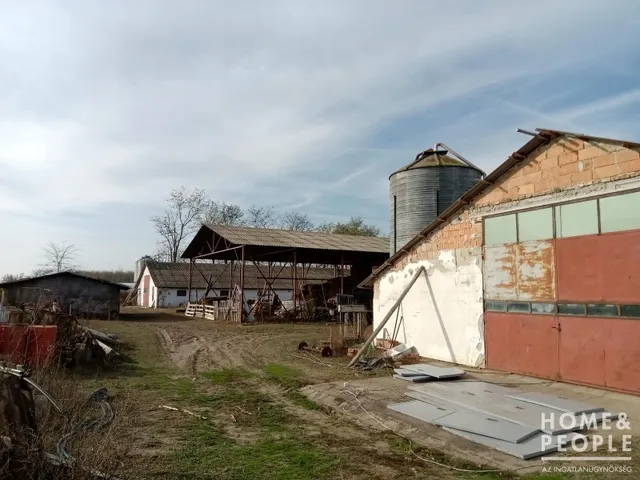 Eladó kereskedelmi és ipari ingatlan Domaszék,  90 nm