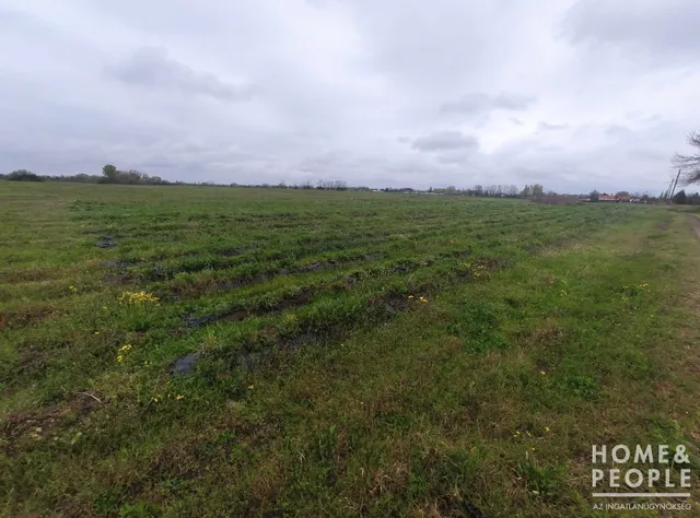 Eladó mezőgazdasági ingatlan Zsombó,  8559 nm