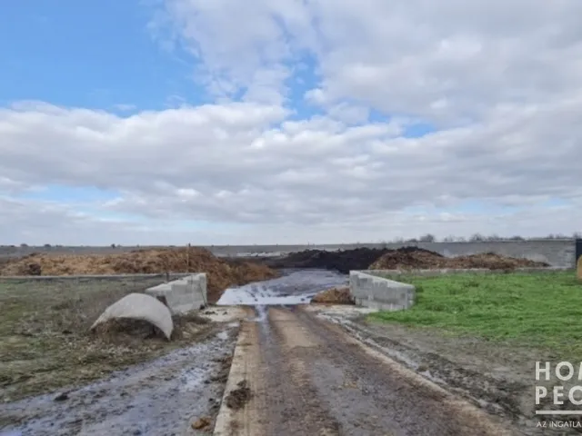 Eladó kereskedelmi és ipari ingatlan Makó,  54598 nm