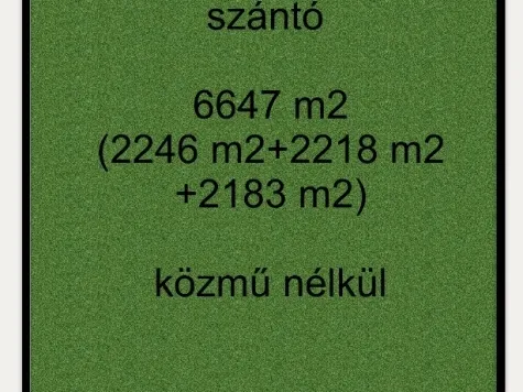 Eladó mezőgazdasági ingatlan Sándorfalva 6647 nm