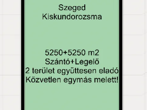 Eladó mezőgazdasági ingatlan Szeged, Kiskundorozsma 9700 nm