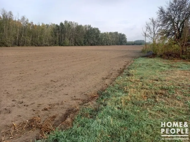 Eladó mezőgazdasági ingatlan Zákányszék 113743 nm