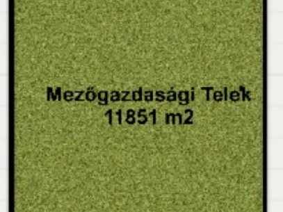 Eladó mezőgazdasági ingatlan Zsombó 11851 nm