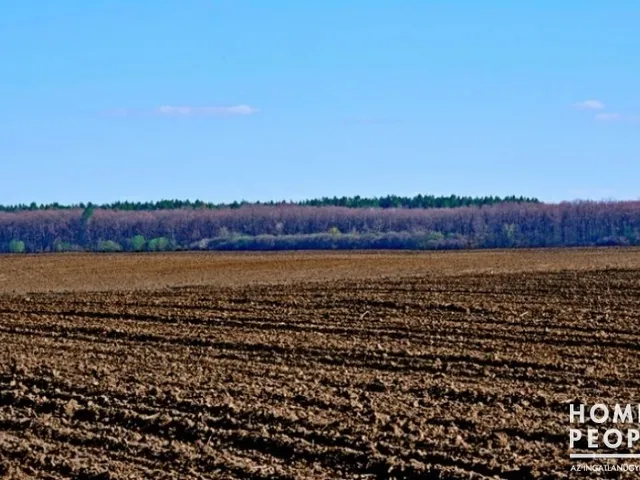 Eladó mezőgazdasági ingatlan Tiszasziget 11530 nm