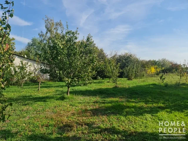 Eladó telek Hódmezővásárhely 991 nm