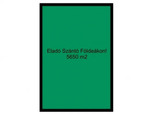 Eladó mezőgazdasági ingatlan Földeák 5650 nm