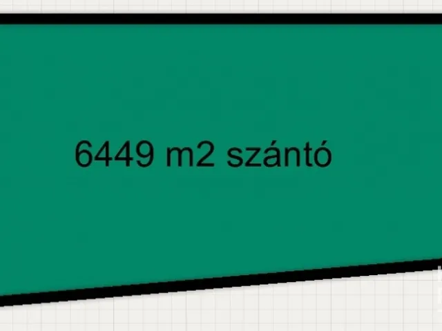 Eladó mezőgazdasági ingatlan Pusztaszer 6449 nm