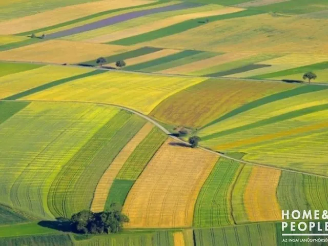 Eladó mezőgazdasági ingatlan Balástya 16898 nm