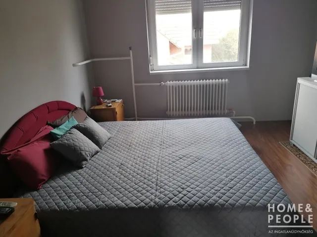 Eladó ház Domaszék 315 nm