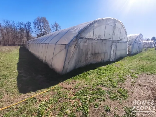 Eladó mezőgazdasági ingatlan Szatymaz 5000 nm
