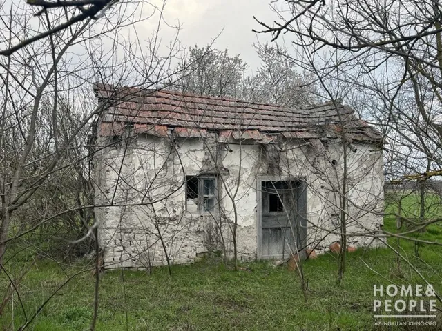 Eladó mezőgazdasági ingatlan Ópusztaszer 65 nm