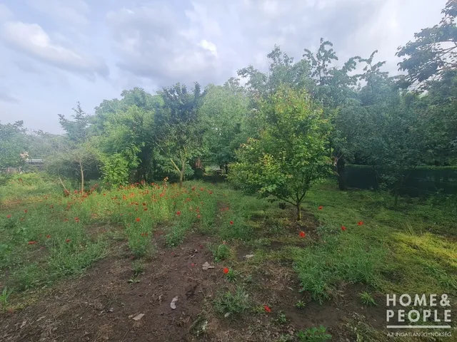 Eladó telek Hódmezővásárhely 1485 nm