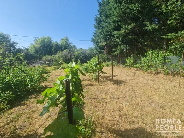 Eladó telek Hódmezővásárhely 720 nm