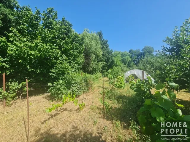 Eladó telek Hódmezővásárhely 720 nm
