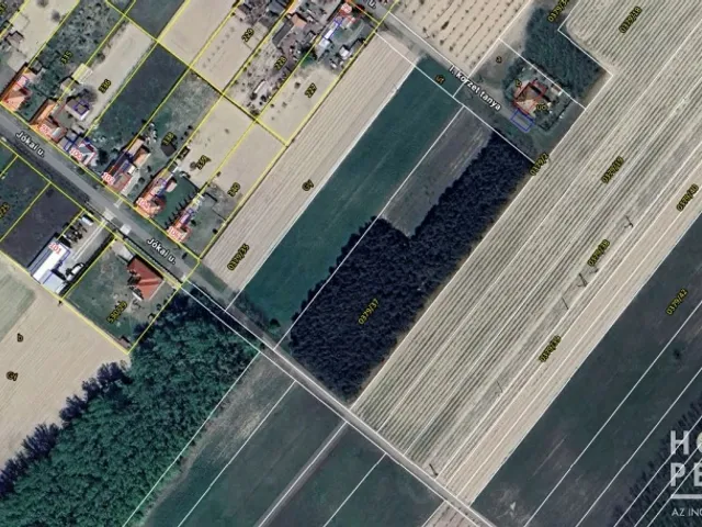 Eladó mezőgazdasági ingatlan Pusztamérges 10342 nm