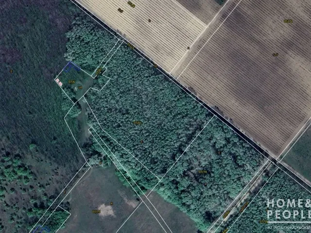 Eladó mezőgazdasági ingatlan Pusztamérges 20267 nm