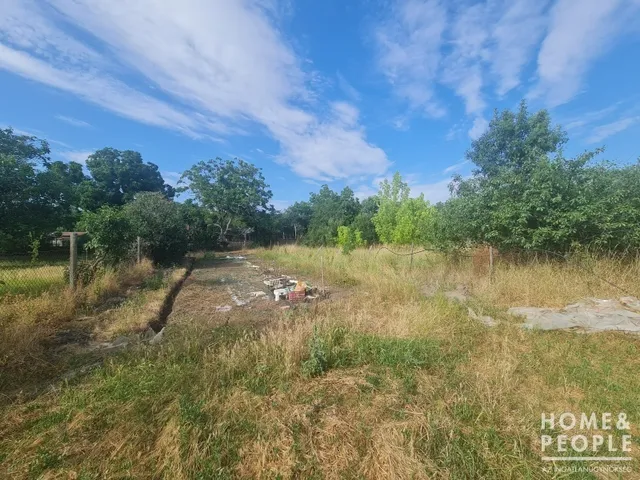 Eladó telek Hódmezővásárhely 3300 nm