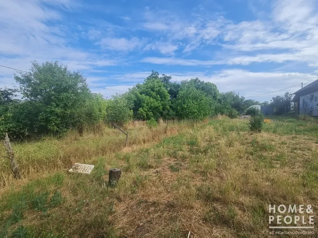 Eladó telek Hódmezővásárhely 3300 nm
