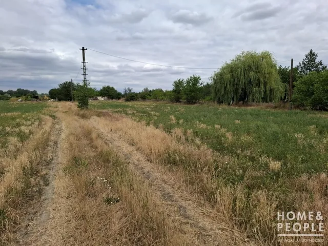Eladó telek Szeged, Szőreg 5755 nm