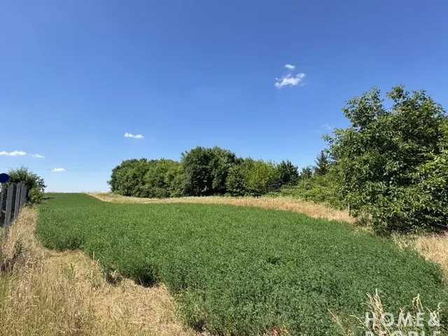 Eladó mezőgazdasági ingatlan Röszke 1053 nm