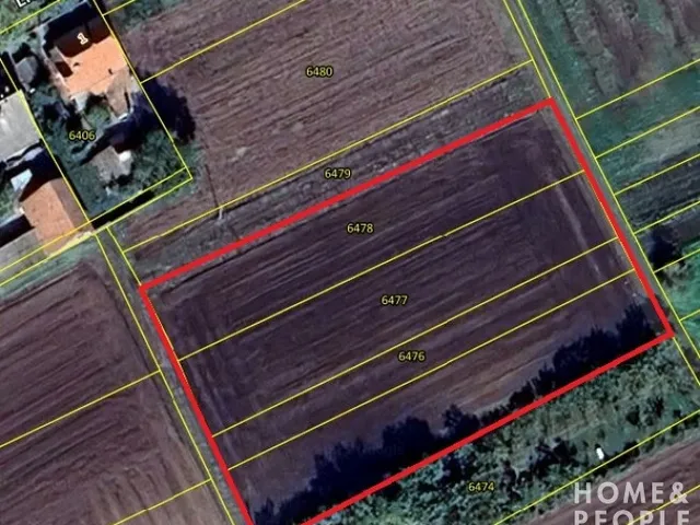 Eladó telek Makó 4675 nm