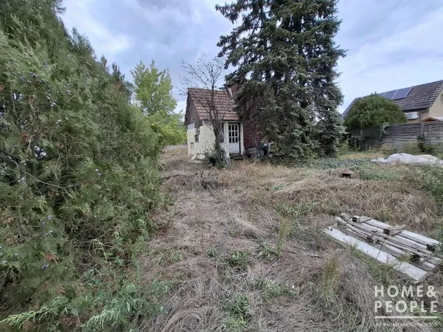 Eladó mezőgazdasági ingatlan Szeged, Subasa 950 nm