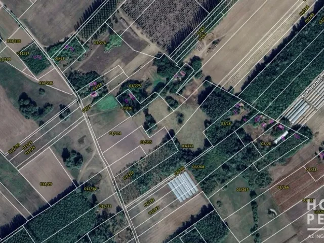 Eladó mezőgazdasági ingatlan Forráskút 70 nm