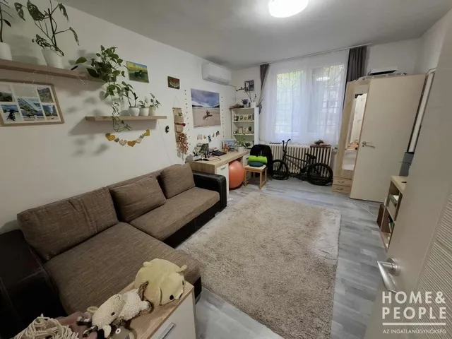 Eladó lakás Szeged, Újszeged 43 nm