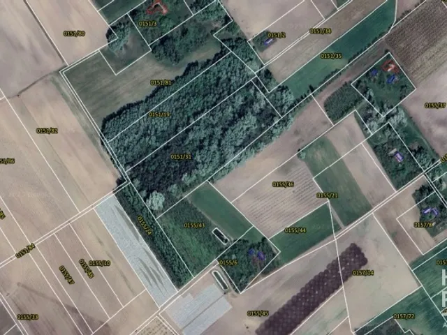 Eladó mezőgazdasági ingatlan Zákányszék 15000 nm