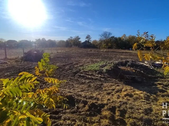 Eladó telek Kiszombor 1221 nm