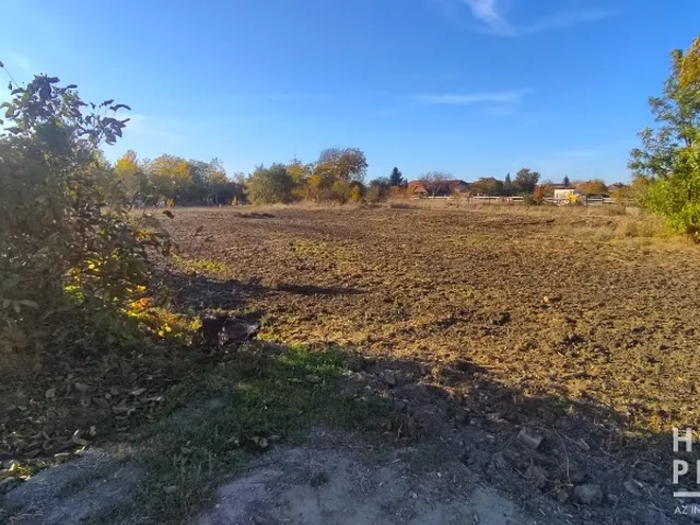 Eladó telek Kiszombor 1221 nm