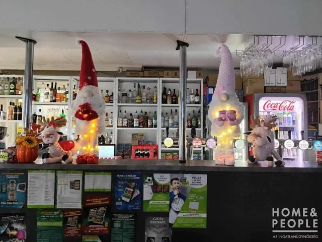 Eladó kereskedelmi és ipari ingatlan Szeged 89 nm